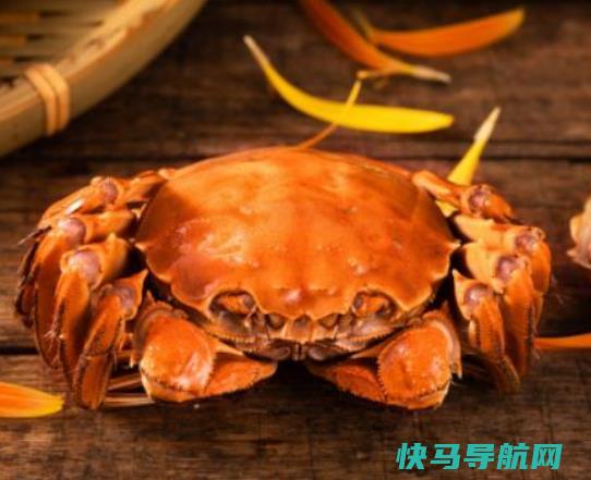 梭子蟹一般多大一只？梭子蟹买的是活的到家死了还能吃吗