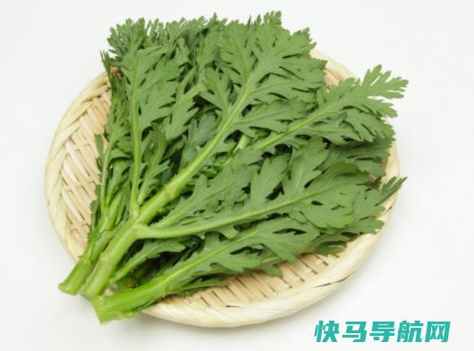 大叶茼蒿和小叶茼蒿哪个好吃？茼蒿可以生吃吗？